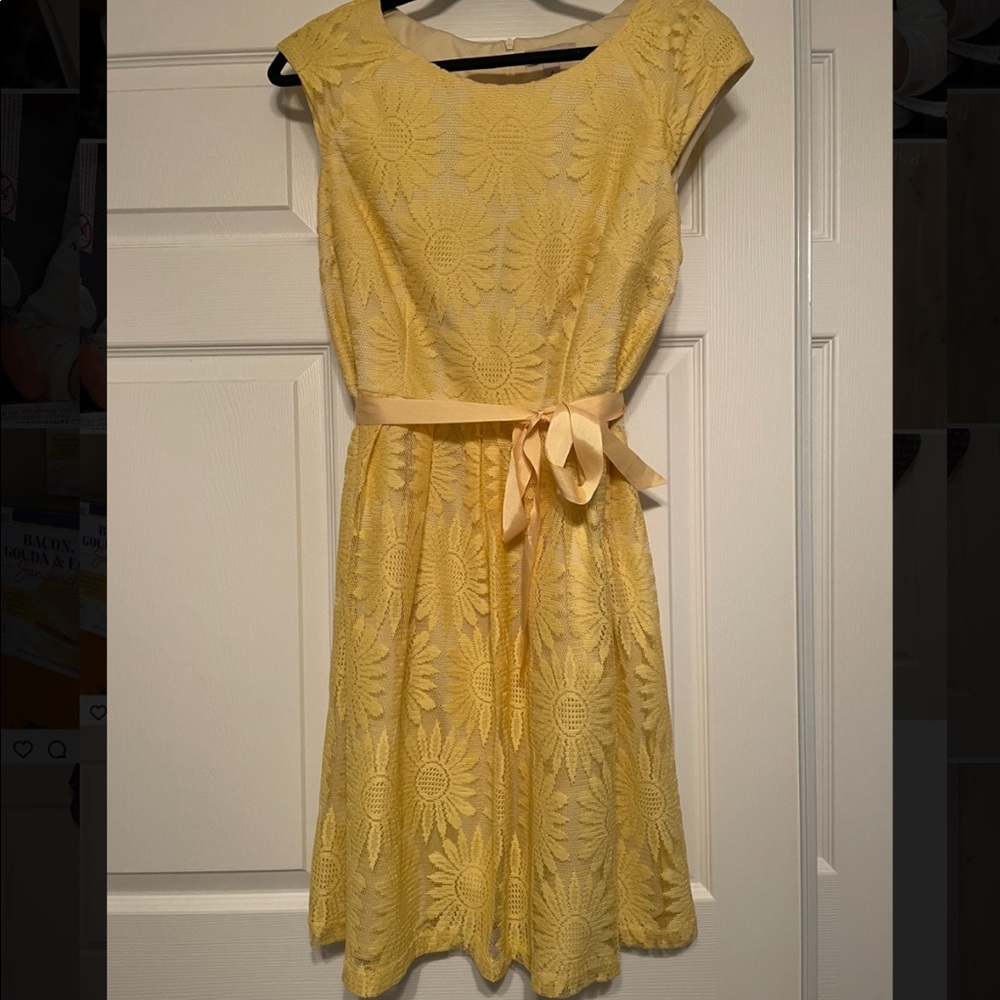 Plus size knee length dress